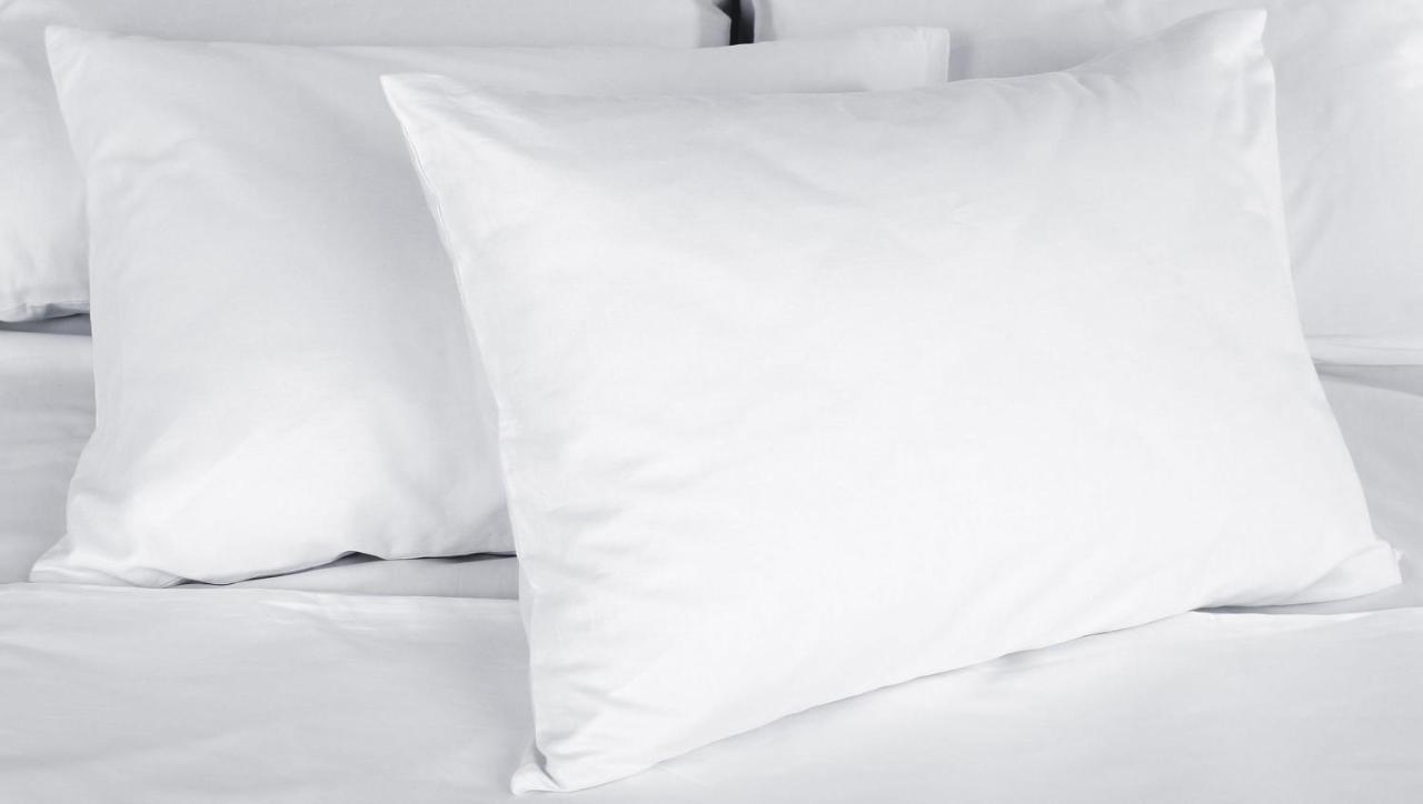 Blue Mist Motel Florence Εξωτερικό φωτογραφία